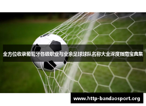 全方位收录葡萄牙各级职业与业余足球球队名称大全深度指南宝典集